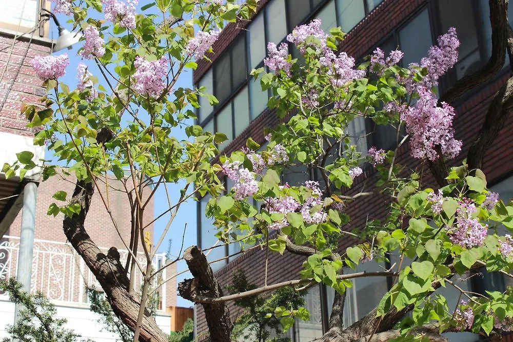 일요스테이 Ilyo Stay Seoul Apartment